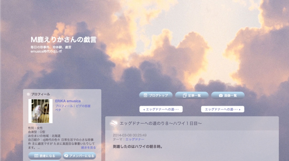 ハワイでの卵子ドナー経験のブログ